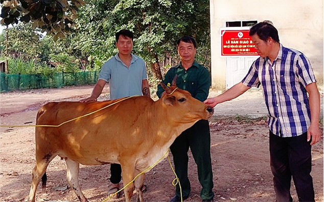 Hội CCB xã Cư Kbang, huyện Ea Súp xóa đói, giảm nghèo từ quay vòng chăn nuôi bò sinh sản